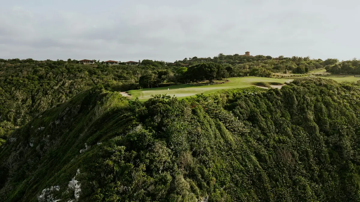 Green headland above the sea