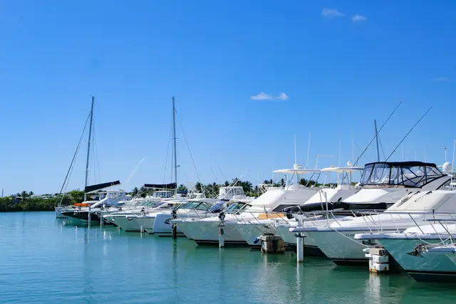 Yachts moored in a marina