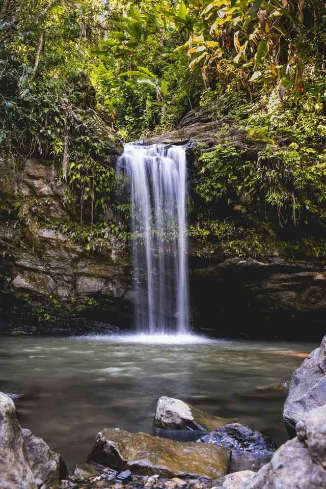 A waterfall in a tropical rainforest